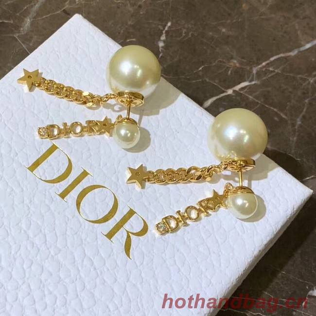 Dior Earrings CE4157