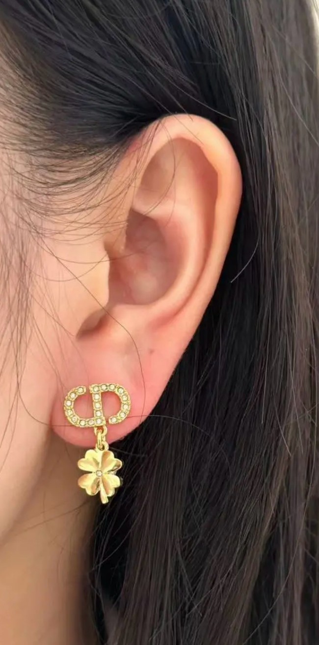 Dior Earring CE16364