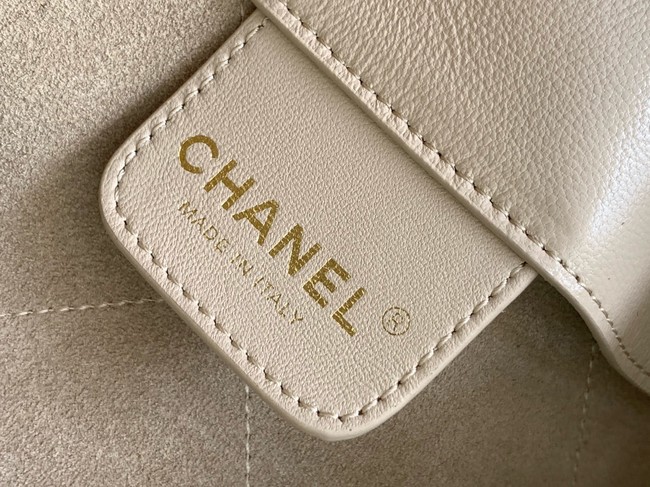 Chanel HOBO HANDBAG AS5403 Beige