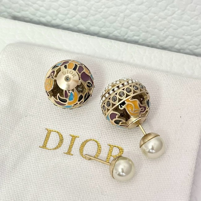 Dior Earring CE16558