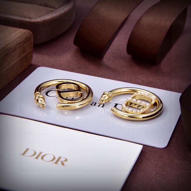 Dior Earring CE16724