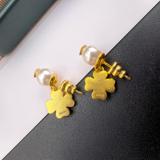 Dior Earring CE16728