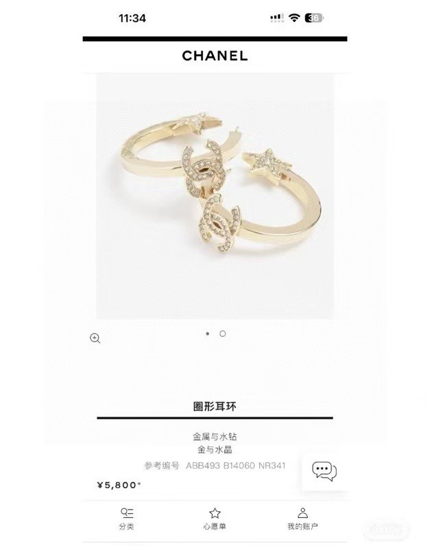 Chanel Earring CE16769