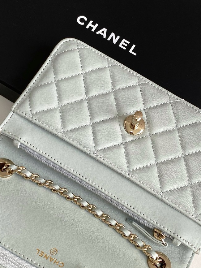 CHANEL Wallet On Chain AP4323 light gray