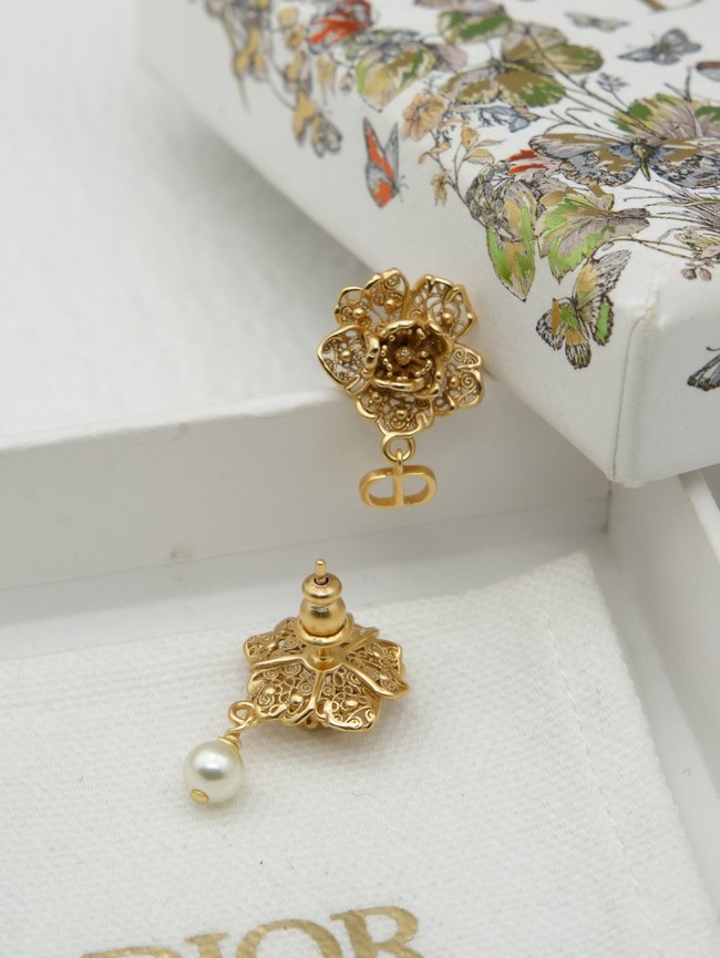 Dior Earring CE16989