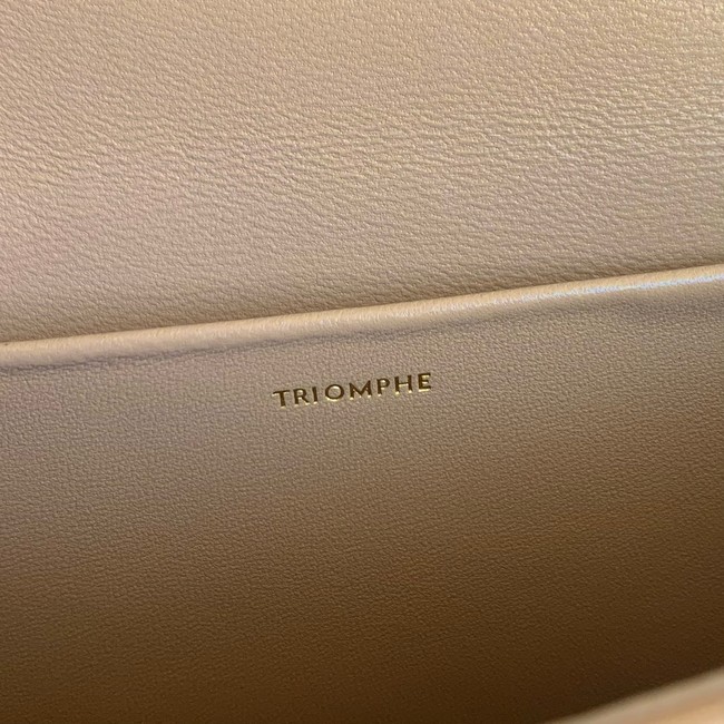 Celine CHAIN SHOULDER BAG TRIOMPHE IN SHINY CALFSKIN 197992 NATURAL