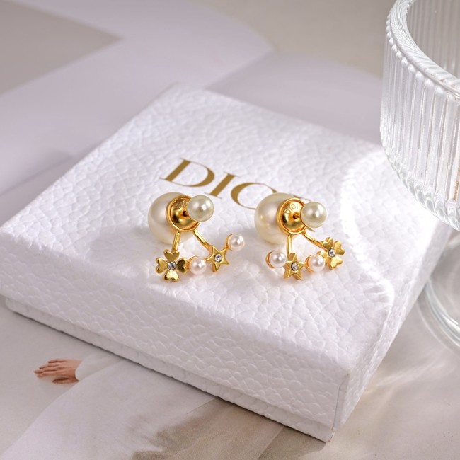 Dior Earrings CE80991