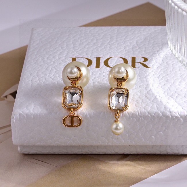Dior Earring CE81000