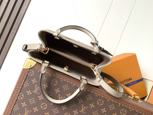 Louis Vuitton NEW Avenue PM M25577 gray