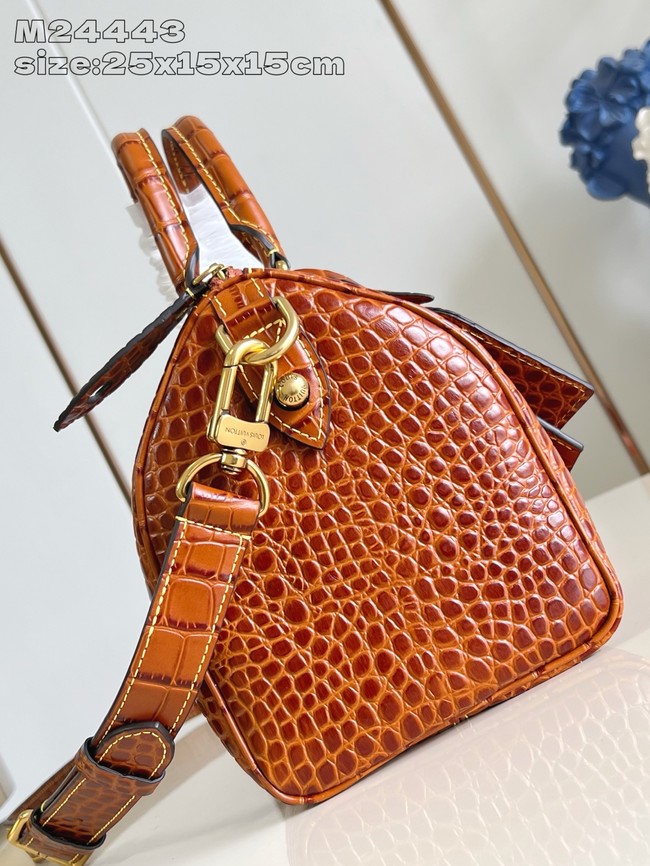 Louis Vuitton Speedy M24443 black