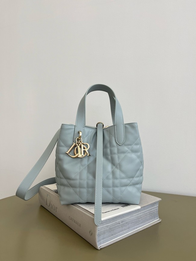 Small Dior Toujours Vertical Tote Bag Macrocannage Crinkled Calfskin M2835 light blue