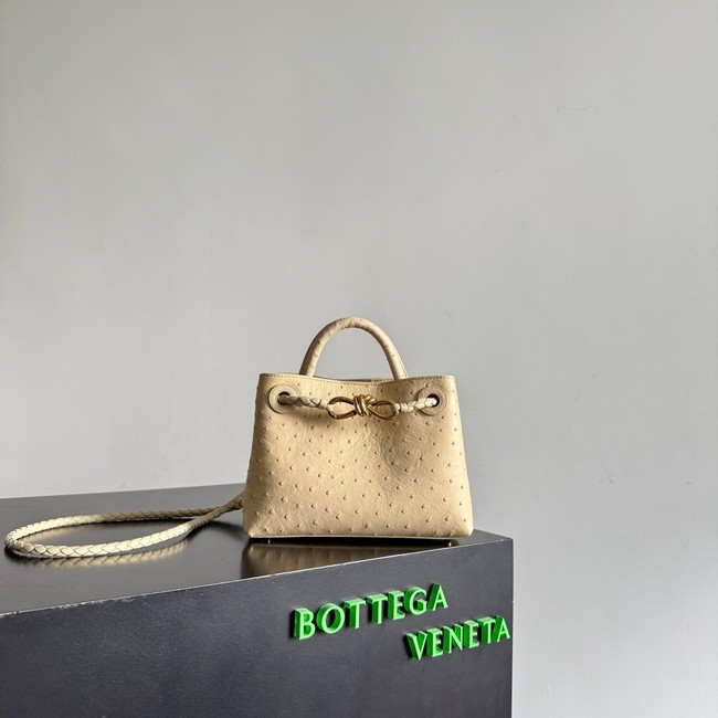 Bottega Veneta Mini Andiamo Sapele 805232 Brass finish