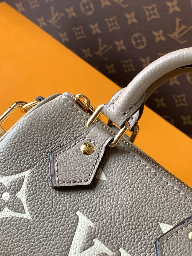 Louis Vuitton Nano Speedy M82450 gray