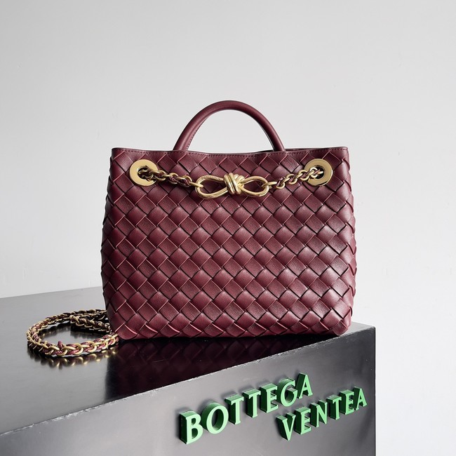 Bottega Veneta Small Andiamo 766014 Barolo