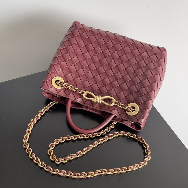 Bottega Veneta Small Andiamo 766014 Barolo