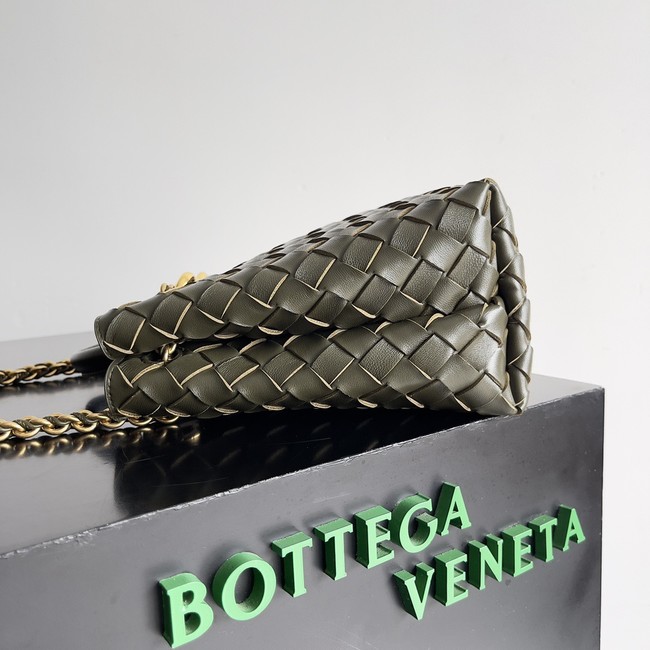 Bottega Veneta Small Andiamo 766014 Pickle