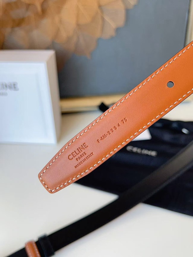 Celine Thin Plate Belt IN 25MM Taurillon Leather B10673-7