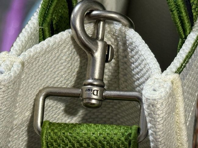 Small Dior Book Tote with Strap Embroidery M1404OE green