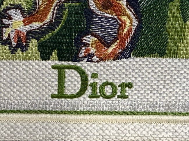 Small Dior Book Tote with Strap Embroidery M1404OE green