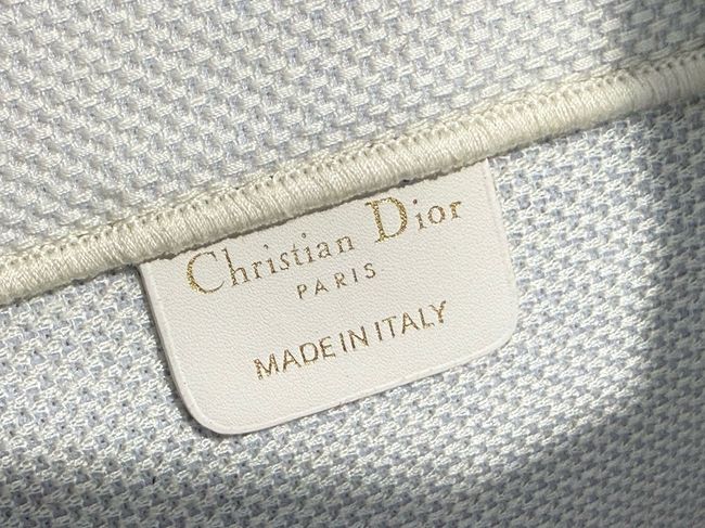 Small Dior Book Tote with Strap Embroidery M1404OE green