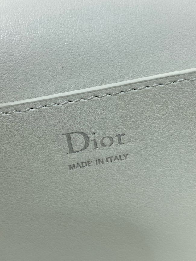 Dior Promenade Mini Bag with Chain S2514OU Latte