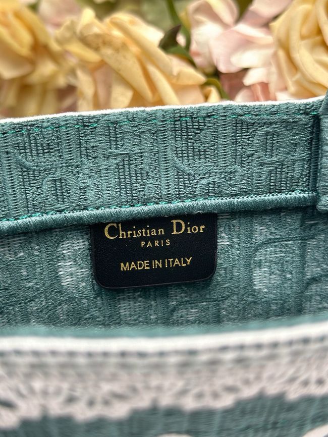 Small Dior Book Tote with Strap Embroidered M1404OE-4