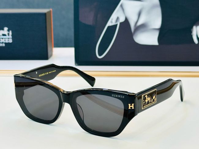 Hermes Sunglasses 821518-1