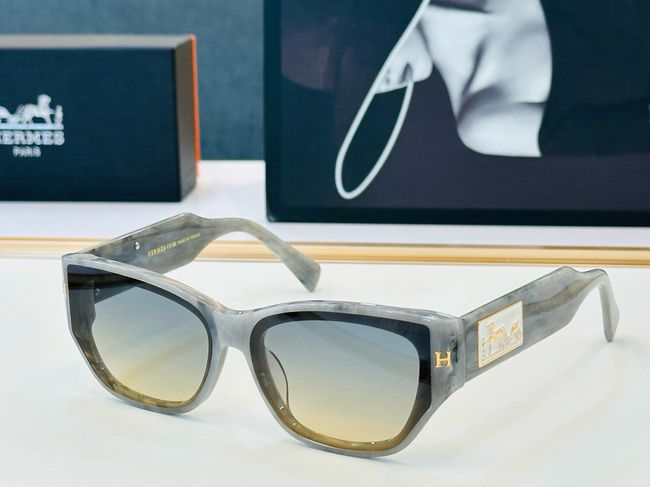 Hermes Sunglasses 821518-3
