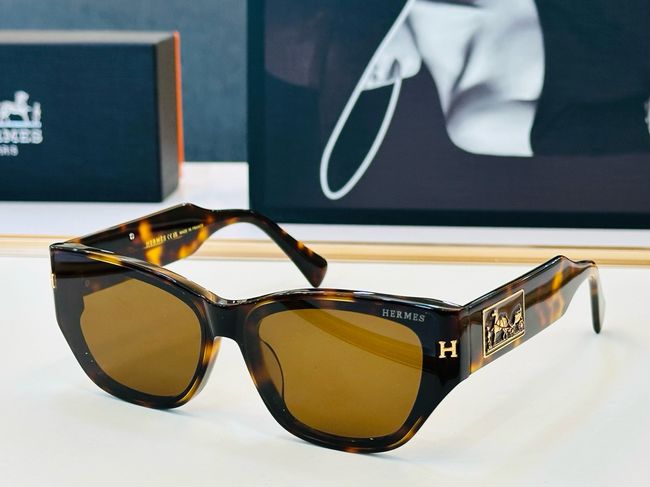 Hermes Sunglasses 821518-4