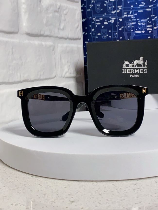Hermes Sunglasses 821519-2