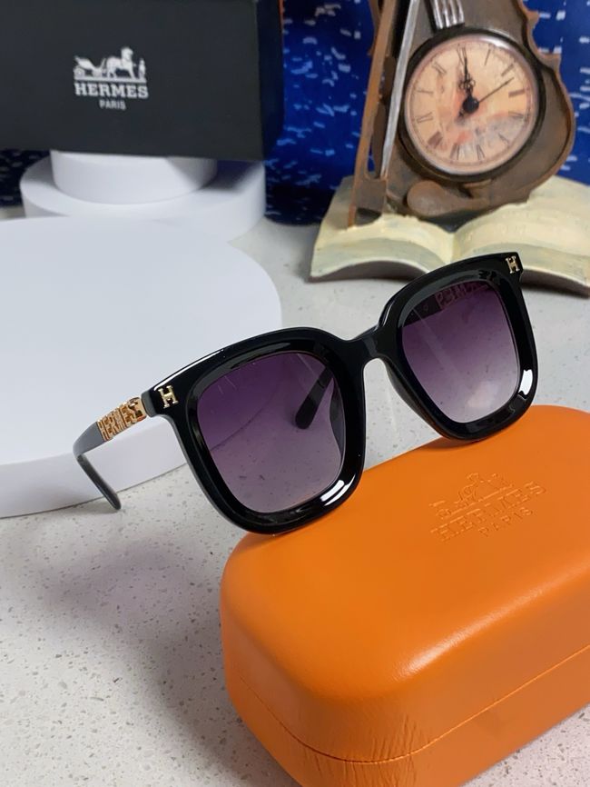 Hermes Sunglasses 821519-3