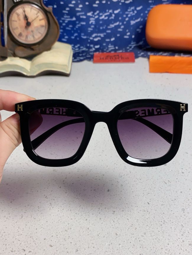 Hermes Sunglasses 821519-3