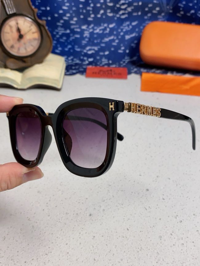 Hermes Sunglasses 821519-3