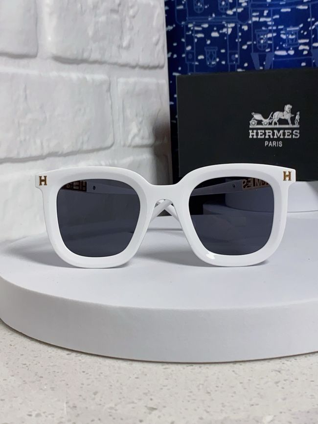 Hermes Sunglasses 821519-4