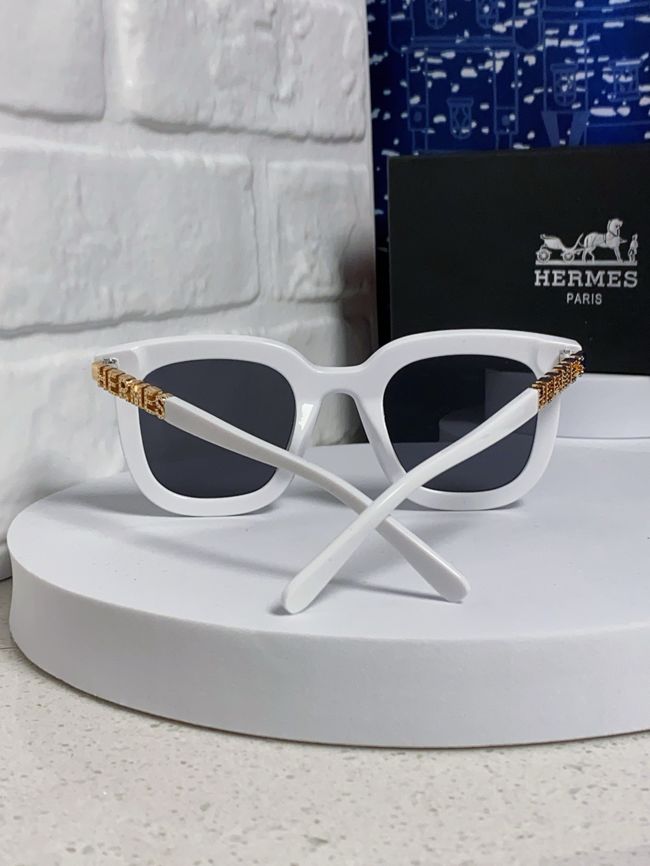 Hermes Sunglasses 821519-4