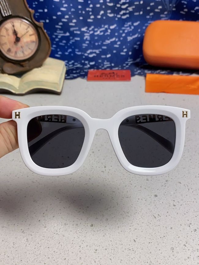 Hermes Sunglasses 821519-4