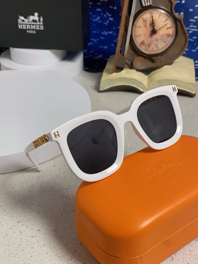 Hermes Sunglasses 821519-4