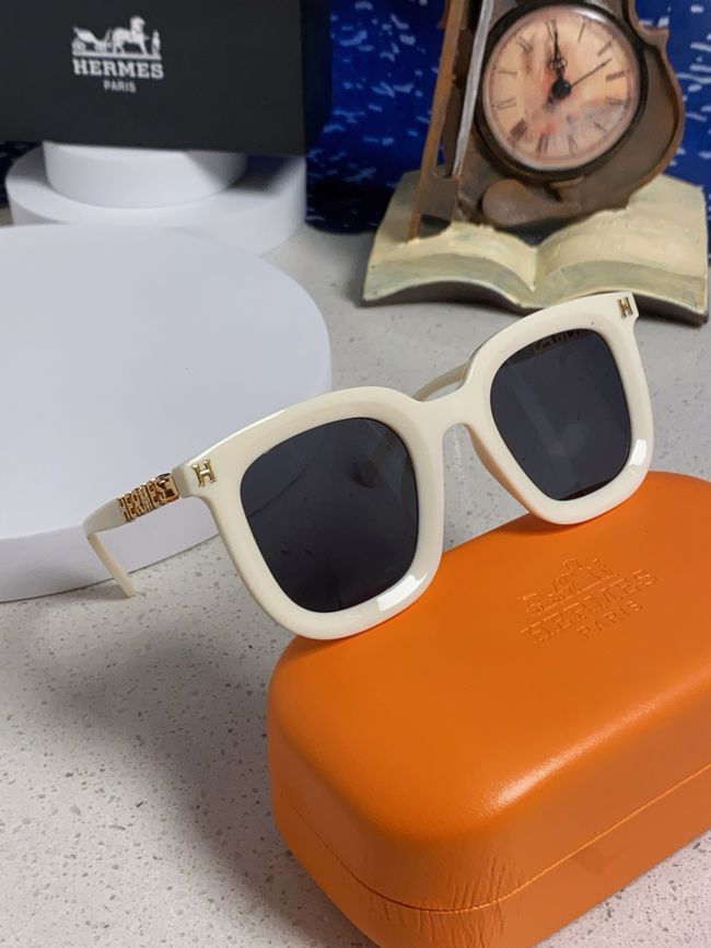 Hermes Sunglasses 821519-5