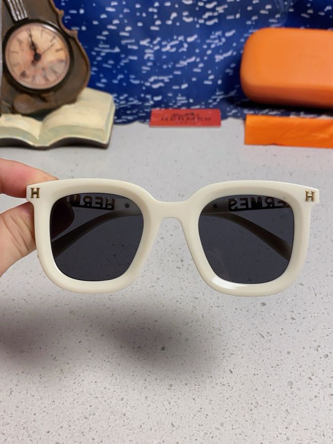 Hermes Sunglasses 821519-5