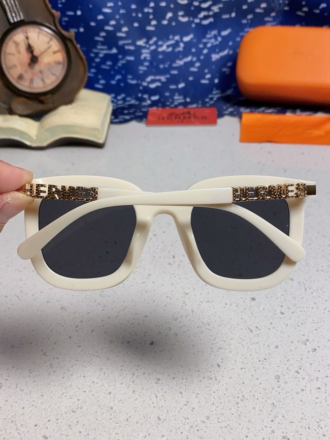Hermes Sunglasses 821519-5