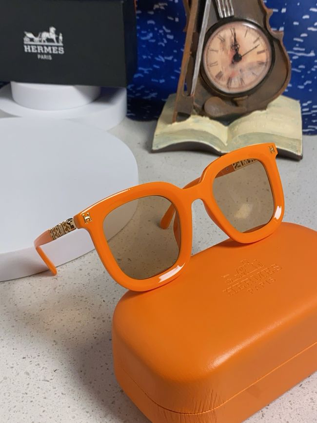 Hermes Sunglasses 821519-6