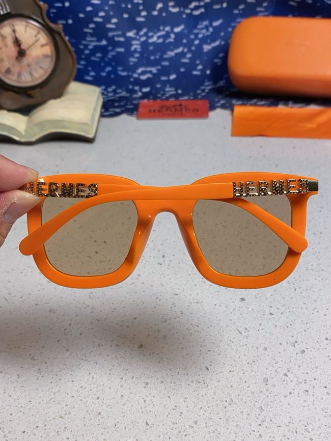 Hermes Sunglasses 821519-6