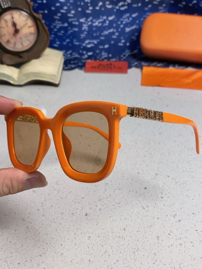 Hermes Sunglasses 821519-6