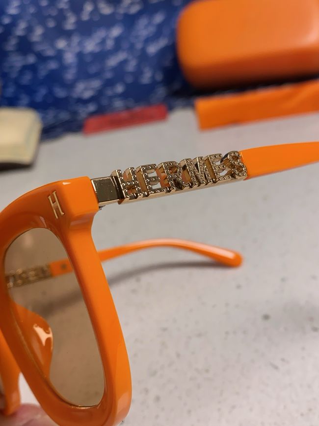 Hermes Sunglasses 821519-6