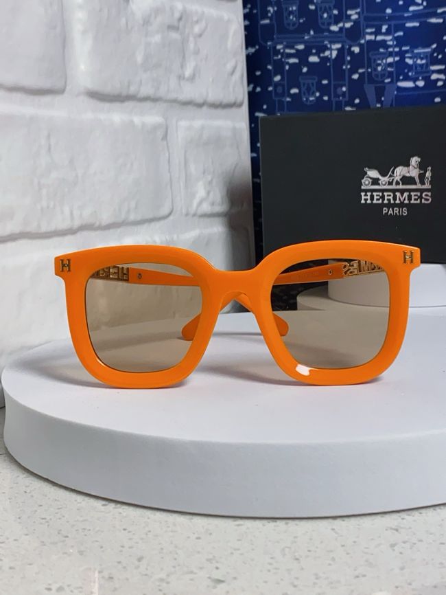 Hermes Sunglasses 821519-6