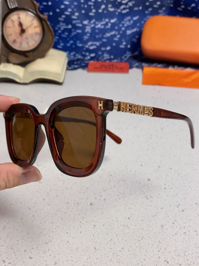 Hermes Sunglasses 821519-7