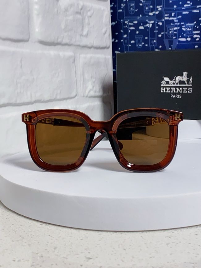 Hermes Sunglasses 821519-7