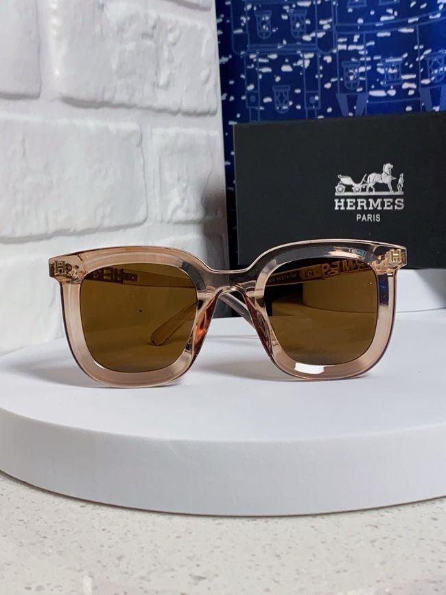 Hermes Sunglasses 821519-9