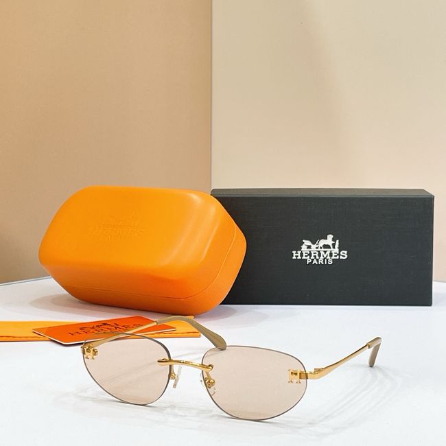 Hermes Sunglasses 821520-6