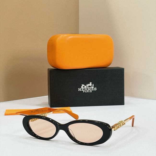 Hermes Sunglasses 821521-2